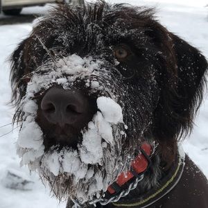 Meet your Posher, Liz